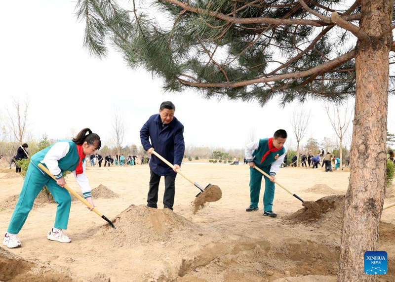 Rais Xi Jinping wa China apanda miti kwa mwaka wa 10 mfululizo akiwa kiongozi mkuu