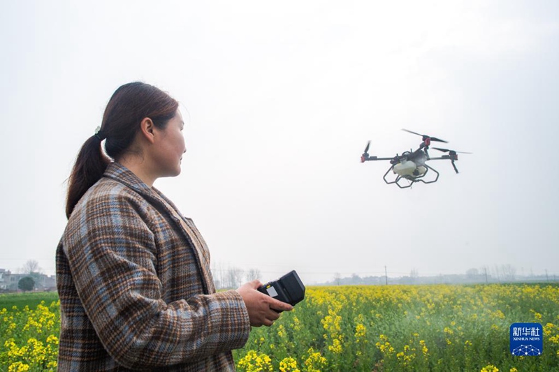 Waendeshaji wanawake wa droni wanyunyiza matumaini juu ya mashamba Hubei, China