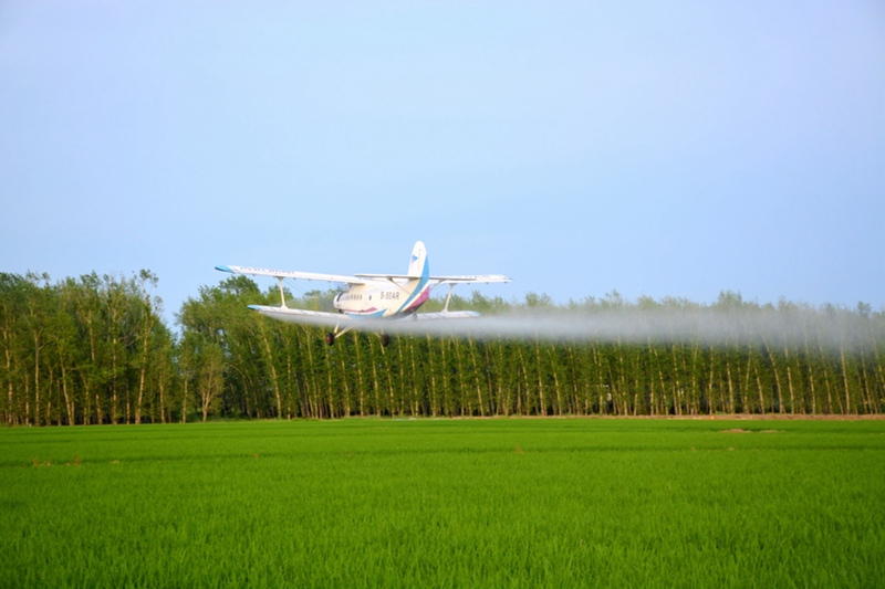 Teknolojia yasaidia kuharakisha mchakato wa usimamizi wa uzalishaji wa mazao wakati wa majira ya joto mkoani Heilongjiang