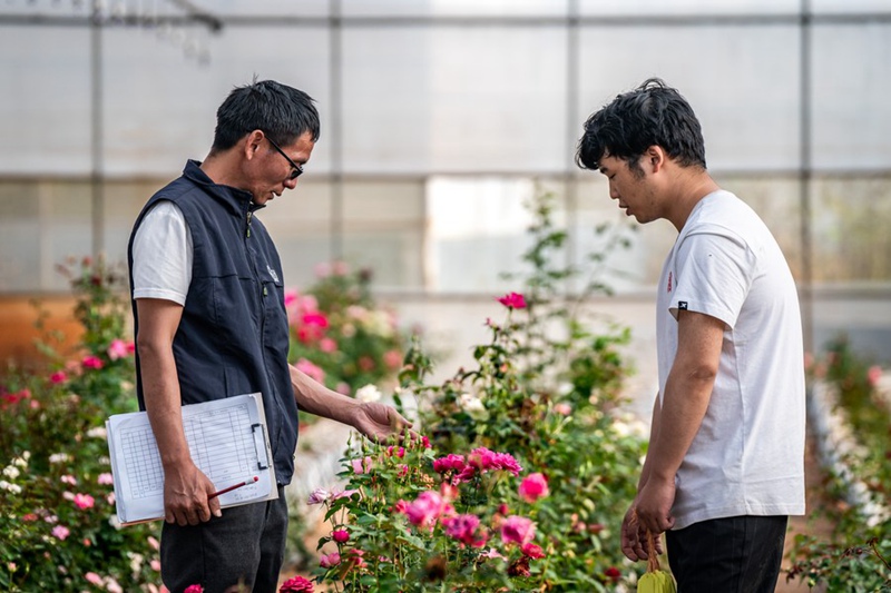 Maua yaliyozalishwa kwenye anga ya juu yachanua katika Mkoa wa Yunnan, Kusini-Magharibi mwa China