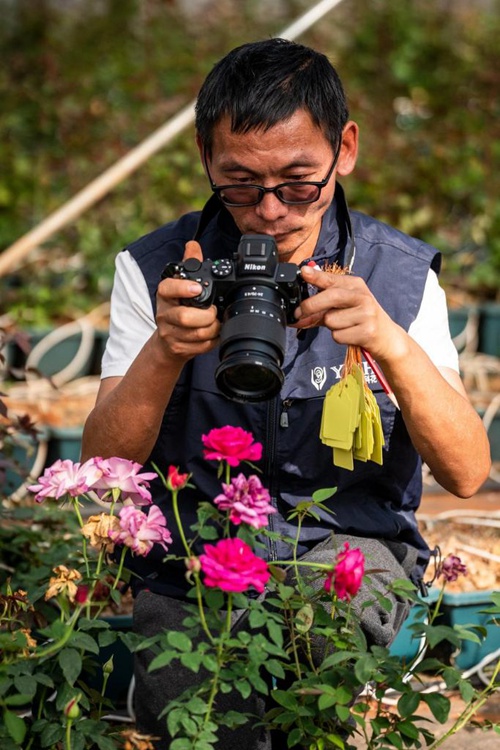 Tian Liantong akipiga picha za maua ya waridi kwenye bustani ya kielelezo ya upandaji maua ya waridi ya eneo maalum la kilimo cha kisasa katika Mji wa Anning, Mkoa wa Yunnan, Kusini-Magharibi mwa China, Oktoba 20, 2023.(Xinhua/Hu Chao)