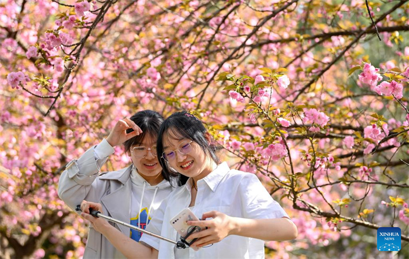 Mji wa Xi'an, Kaskazini Magharibi mwa China wavutia watalii kwa maua mazuri na maeneo ya kitamaduni