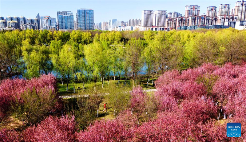 Mji wa Xi'an, Kaskazini Magharibi mwa China wavutia watalii kwa maua mazuri na maeneo ya kitamaduni