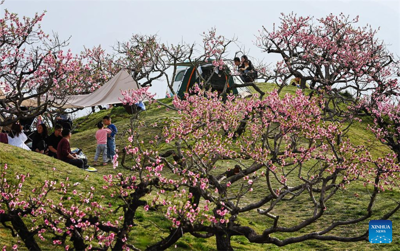 Mji wa Xi'an, Kaskazini Magharibi mwa China wavutia watalii kwa maua mazuri na maeneo ya kitamaduni