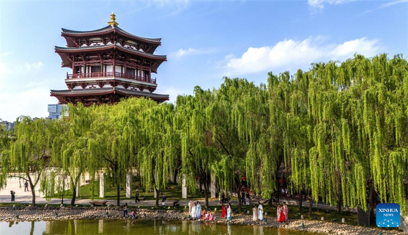 Mji wa Xi'an, Kaskazini Magharibi mwa China wavutia watalii kwa maua mazuri na maeneo ya kitamaduni