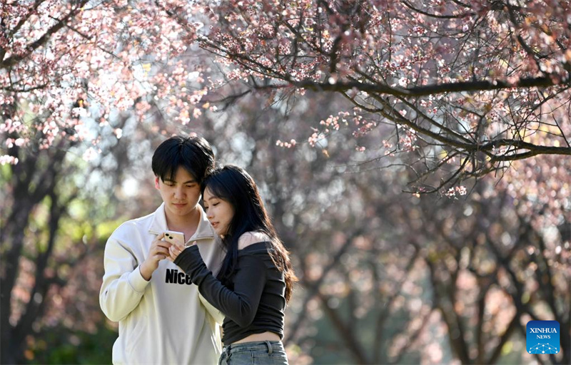 Mji wa Xi'an, Kaskazini Magharibi mwa China wavutia watalii kwa maua mazuri na maeneo ya kitamaduni