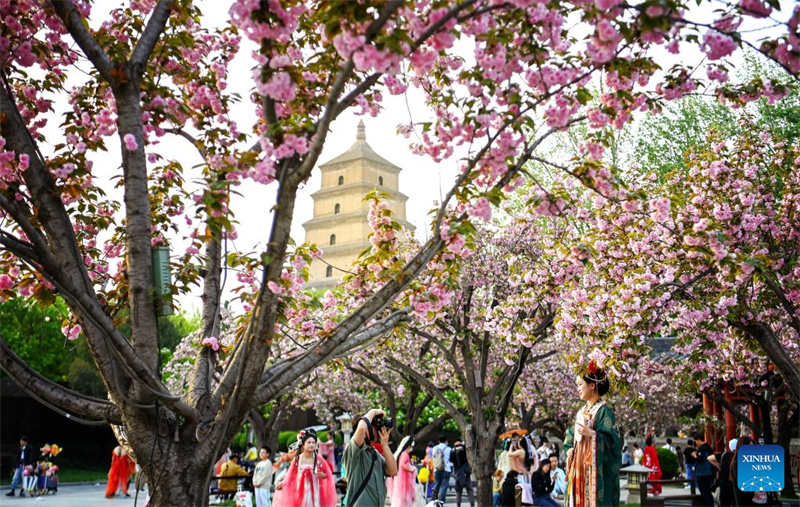 Mji wa Xi'an, Kaskazini Magharibi mwa China wavutia watalii kwa maua mazuri na maeneo ya kitamaduni
