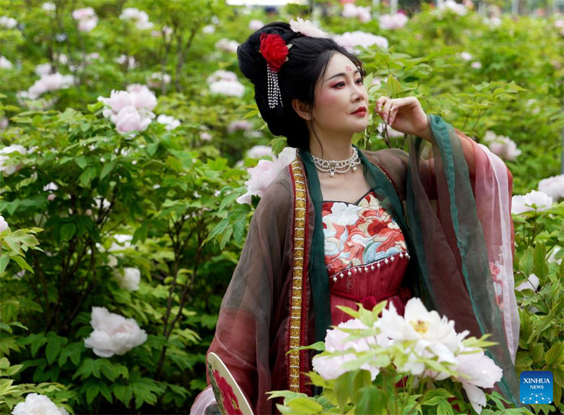 Mji wa Luoyang, China wafuata na kujikita katika utamaduni unaohusiana na maua ya peony
