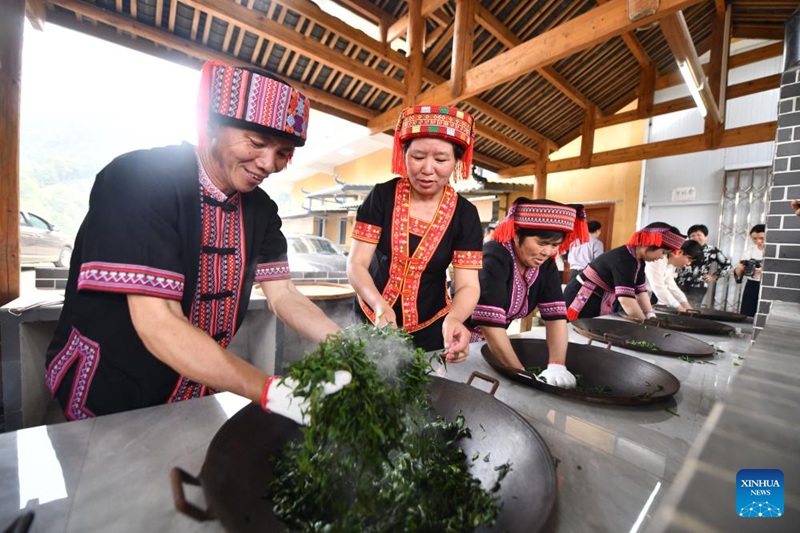 Utengenezaji na upandaji chai ya Liubao, waleta ustawi Mjini Wuzhou, Kusini mwa China