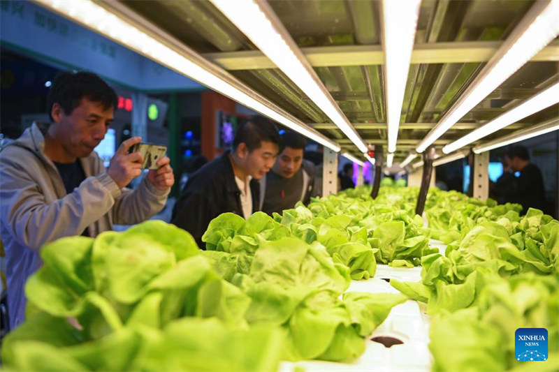 Maonyesho ya 31 ya Teknolojia ya Hali ya Juu ya Kilimo ya Yangling ya China yaanza kaskazini magharibi mwa China