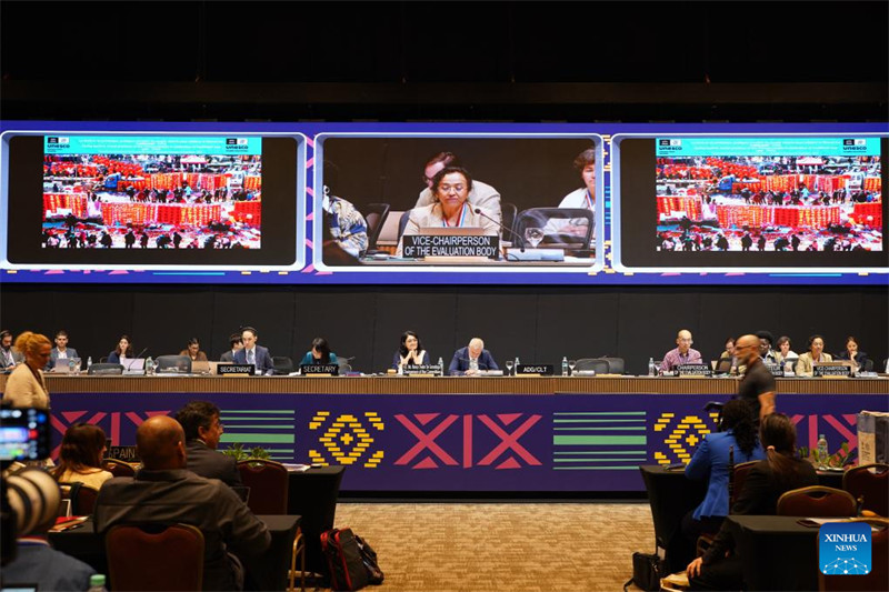 UNESCO yaiorodhesha Sikukuu ya Mwaka Mpya wa Jadi wa China kwenye orodha ya urithi wa utamaduni usioshikika