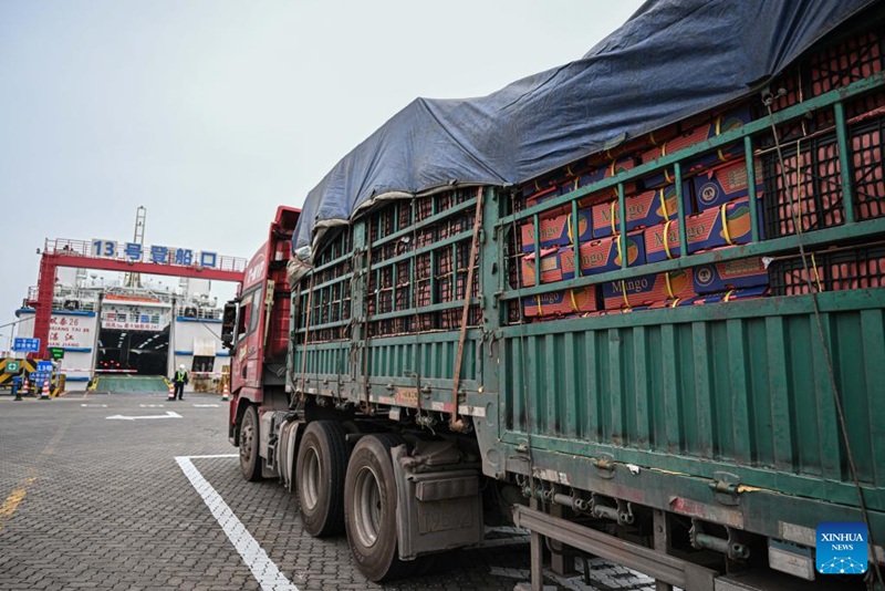 Bandari katika Mji wa Haikou wa China zahakikisha usafirishaji wenye ufanisi wa mazao bichi ya kilimo
