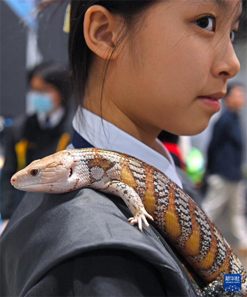 Maonyesho ya wanyama vipenzi wa kuishi nyumbani na binadamu yafunguliwa Hongkong, China