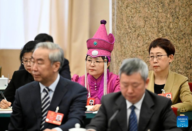 Wajumbe wa Bunge la 14 la China wafanya vikao vya kujadili ripoti ya kazi ya serikali