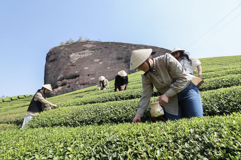 Utalii wa majira ya mchipuko waonyesha uhai wa uchumi nchini China