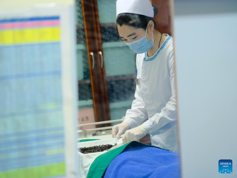 Siku ya Kimataifa ya Wauguzi yaadhimishwa katika Mkoa wa Mongolia ya Ndani, China