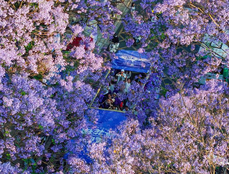 (Picha na Chang Qi/Tovuti ya picha ya vip.people.com.cn)