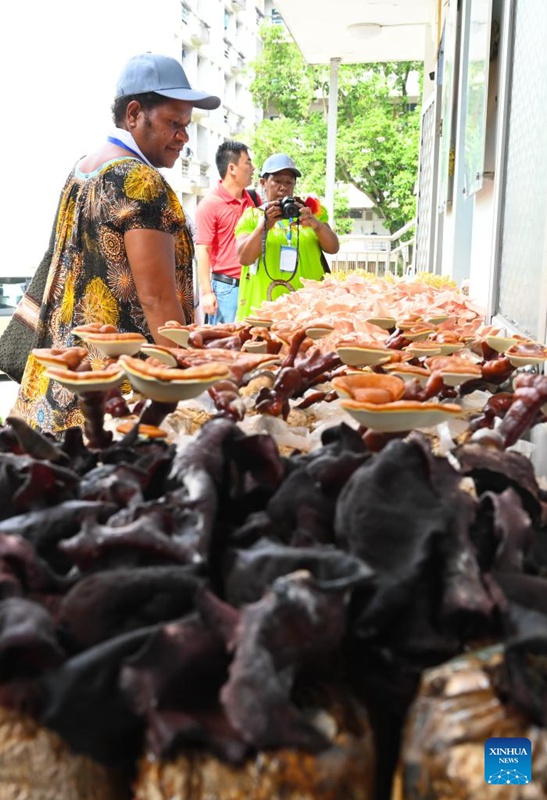 Wageni wakifahamishwa kuhusu shughuli za kilimo za Juncao katika Kituo cha Utafiti wa Miradi ya Kitaifa ya Teknolojia ya Juncao cha Chuo Kikuu cha Kilimo na Misitu cha Fujian huko Fuzhou, Mkoa wa Fujian, kusini-mashariki mwa China, Mei 17, 2025. (Xinhua/Lin Shanchuan)