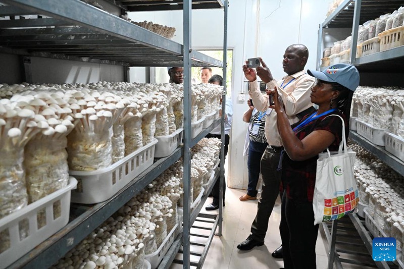 Mkutano wa Kimataifa wa 20 juu ya Maendeleo ya shughuli za kilimo za Juncao wafanyika Fuzhou nchini China