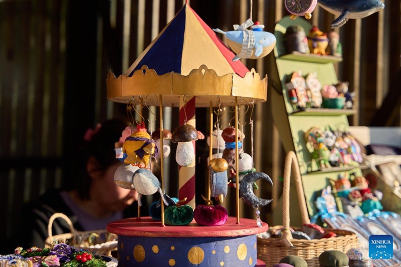 Banda la sanaa za mikono likionekana katika picha kwenye "Jukwaa la Russia na China" mjini Khabarovsk, Russia, Mei 20, 2025. (Picha na Guo Feizhou/Xinhua)