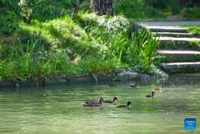 Mji wa Yangzhou wa China wahimiza utalii wa kitamaduni kwa kutumia Mfereji Mkuu wa China
