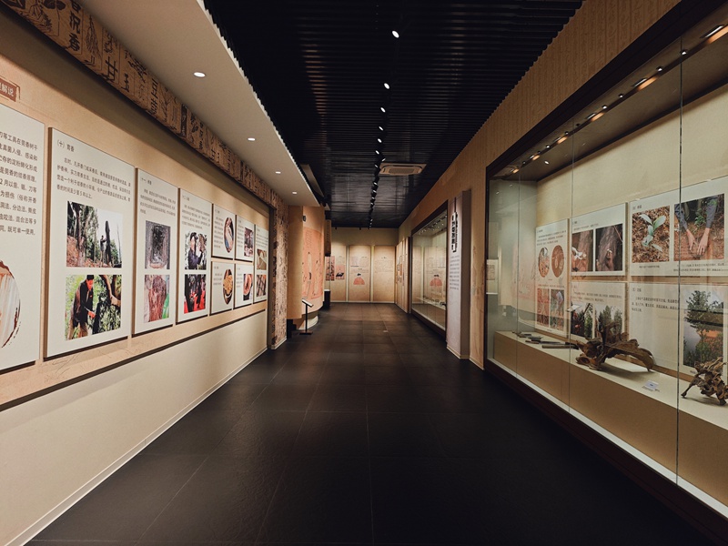 China inayosonga mbele | Miti iliyojeruhiwa yatoa manukato ya ajabu: Kuchunguza siri ya ufundi uliorithiwa wa Guangdong