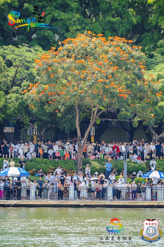 Sanya, China: Mashindano ya Mashua ya Dragoni yafanyika kati ya ndege na mawimbi ya maji