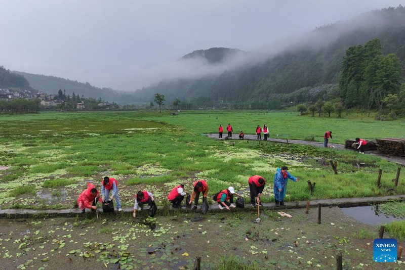 Picha hii iliyopigwa kwa droni tarehe 4 Juni, 2025 ikionyesha watu wa kujitolea wakikusanya taka kwenye Bustani ya ardhioevu mjini Tengchong, Mkoa wa Yunnan, kusini-magharibi mwa China. (Picha na Gong Zujin/Xinhua)