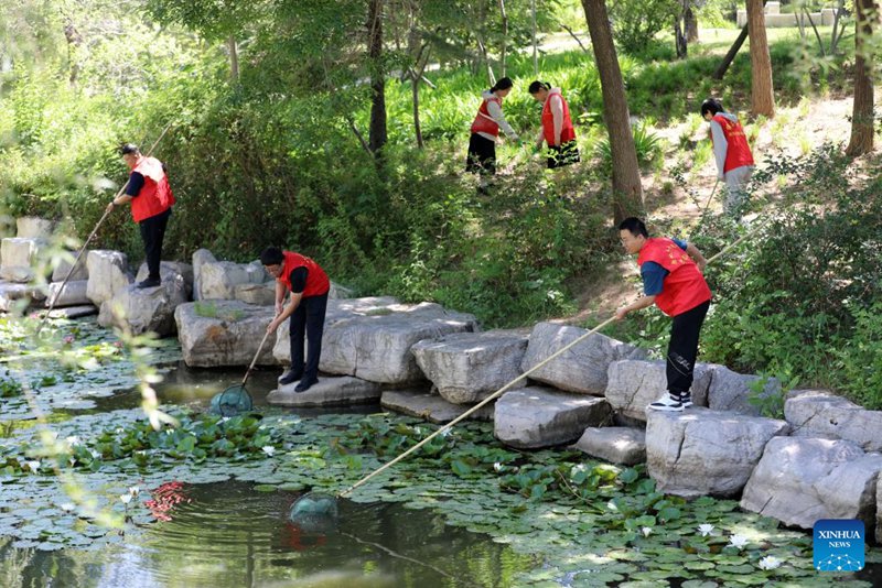 Shughuli za kuadhimisha Siku ya Mazingira ya Dunia zafanyika sehemu mbalimbali nchini China