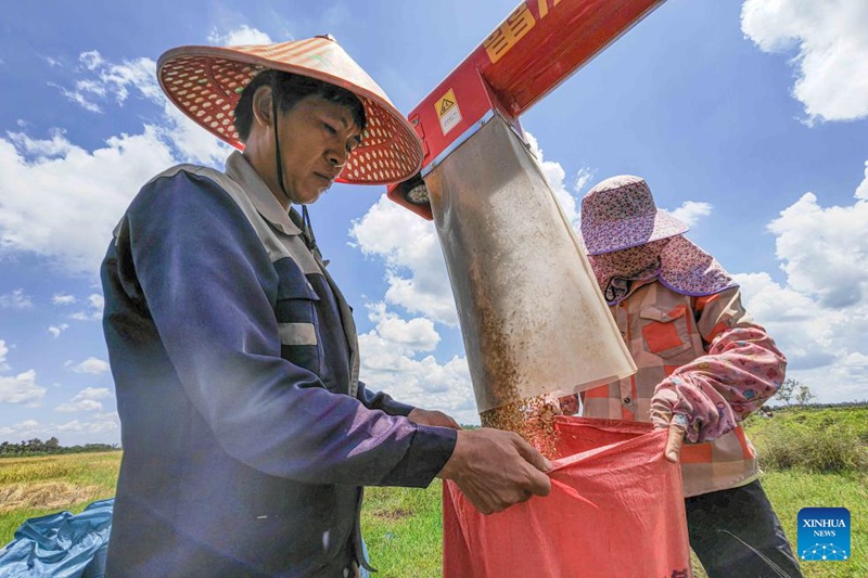 Majira ya kuvuna mazao ya mpunga yawadia katika Mkoa wa Hainan, Kusini mwa China
