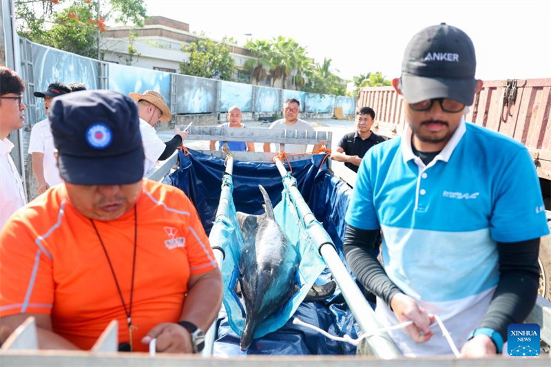 Pomboo aliyekuwa amekwama arudi baharini baada ya kupata huduma maalumu Kusini mwa China