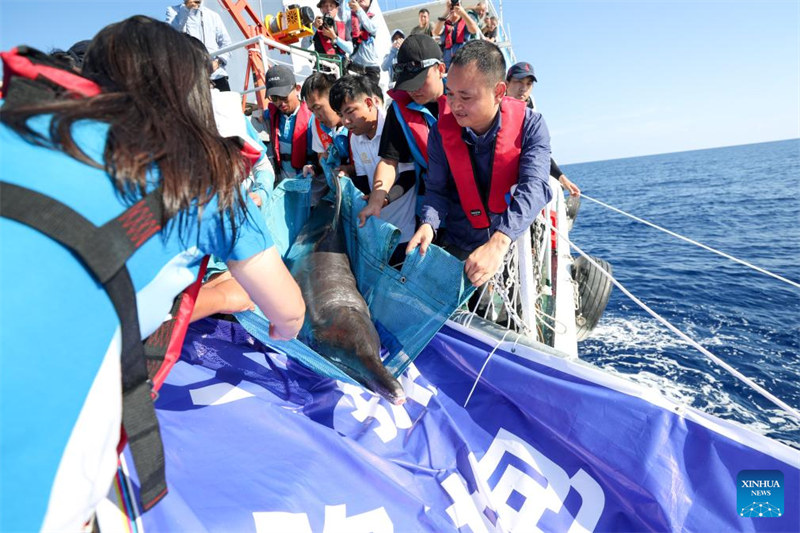 Pomboo aliyekuwa amekwama arudi baharini baada ya kupata huduma maalumu Kusini mwa China