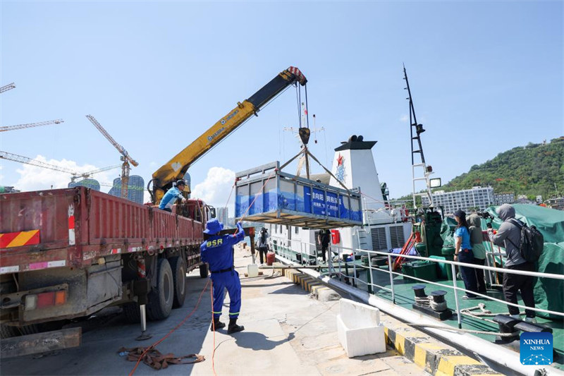 Pomboo aliyekuwa amekwama arudi baharini baada ya kupata huduma maalumu Kusini mwa China