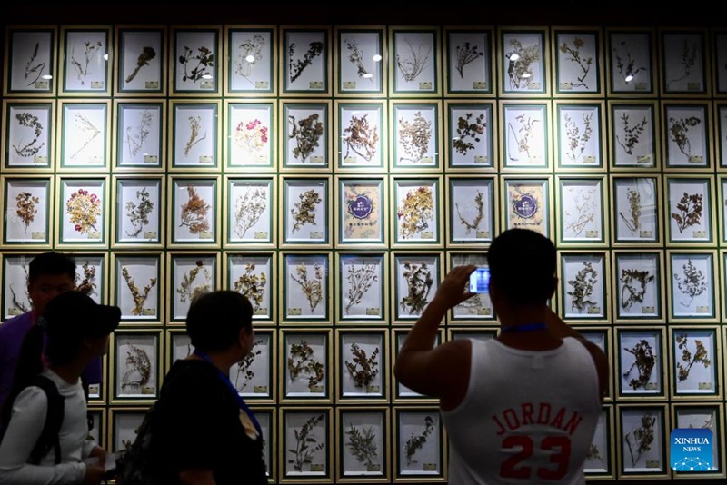 Shughuli za utalii za siku za lavender zahimiza maendeleo ya uchumi katika Mkoa wa Xinjiang, China