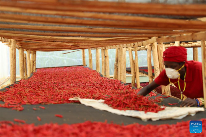 Namna mnyororo wa kiviwanda kati ya China na Afrika unavyohimiza ukuaji wa bara