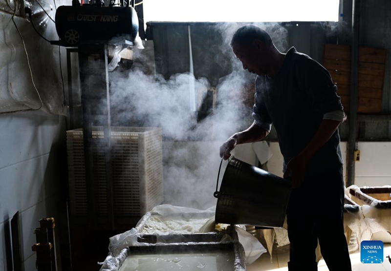 Ufundi wa kijadi wa kutengeneza tofu wahimiza ukuaji wa viwanda vya Mji Huainan, China