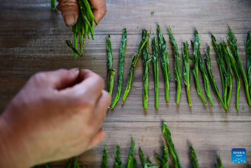 Mfanyakazi akiandaa majani ya chai katika Kijiji cha Houkeng cha Huangshan katika Mkoa wa Anhui, mashariki mwa China, Aprili 15, 2025. (Xinhua/Zhou Mu)