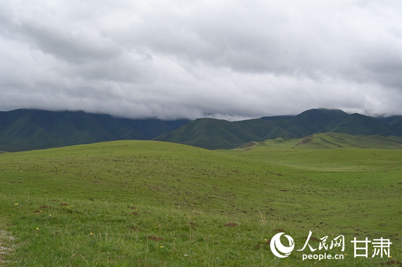 Picha: Mandhari ya mbuga katika majira ya joto mkoani Gansu, China