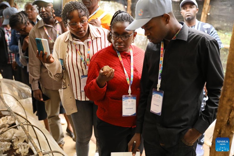 Teknolojia ya Juncao yaunga mkono mpango wa kulisha watoto shuleni wa Rwanda