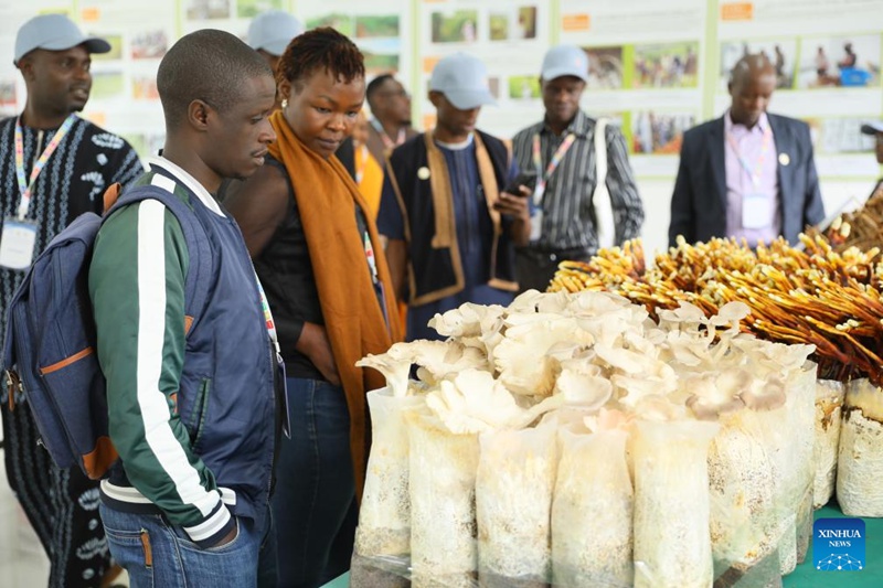 Teknolojia ya Juncao yaunga mkono mpango wa kulisha watoto shuleni wa Rwanda