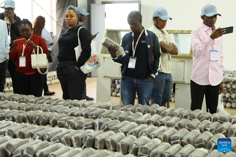 Teknolojia ya Juncao yaunga mkono mpango wa kulisha watoto shuleni wa Rwanda