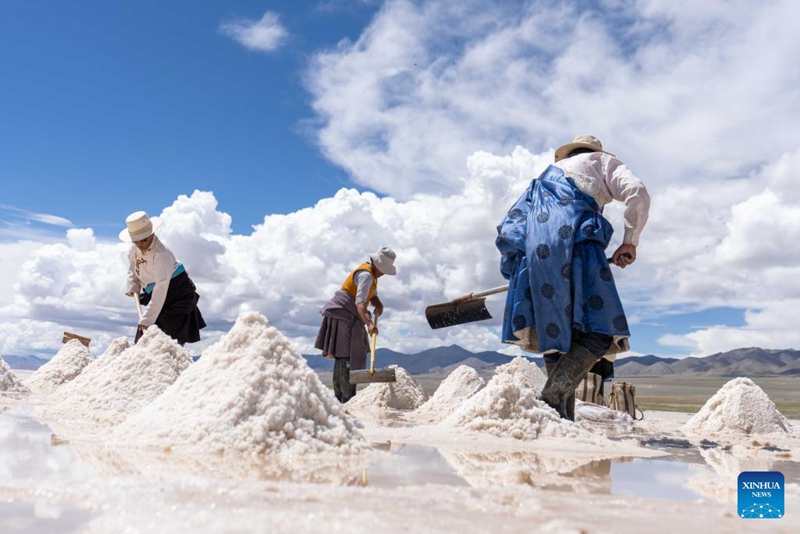 Maliasili nyingi za chumvi zaongeza mapato ya wanakijiji katika Wilaya ya Gegye, Xizang, China