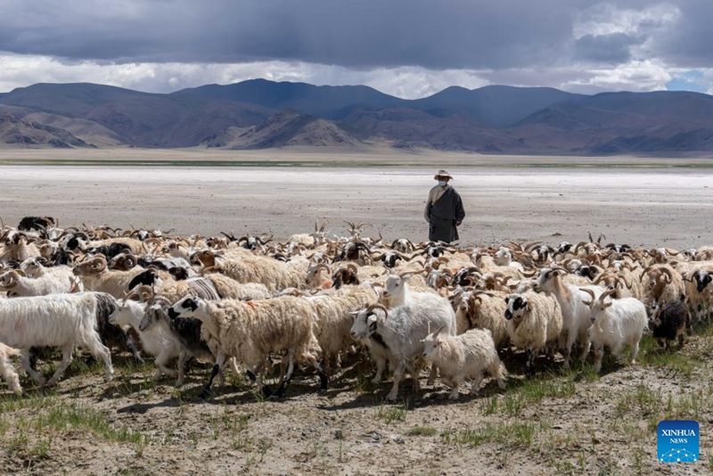 Maliasili nyingi za chumvi zaongeza mapato ya wanakijiji katika Wilaya ya Gegye, Xizang, China