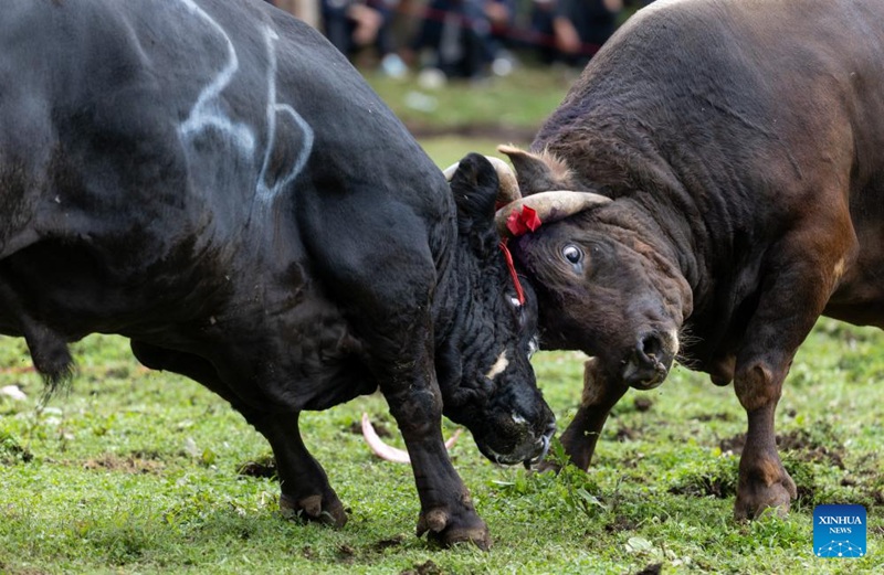 Tamasha la jadi la Siku ya Mwenge ya Kabila la Wayi lafanyika Kusini Magharibi mwa China