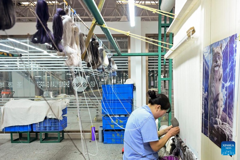 Kazi za mikono za kijadi za ufumaji mazulia ya Kitibet zasukuma ustawi wa vijiji