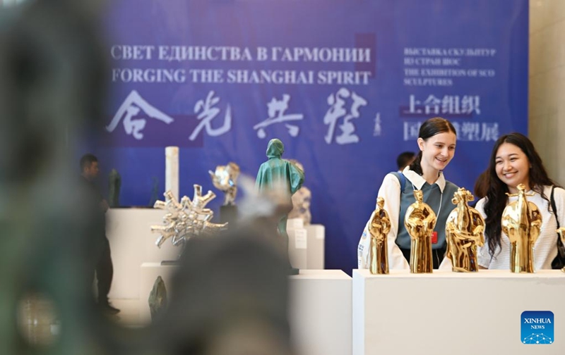 Mazungumzo Kati ya staarabu tofauti Miongoni mwa Nchi za SCO 2025 Yafanyika Tianjin, China