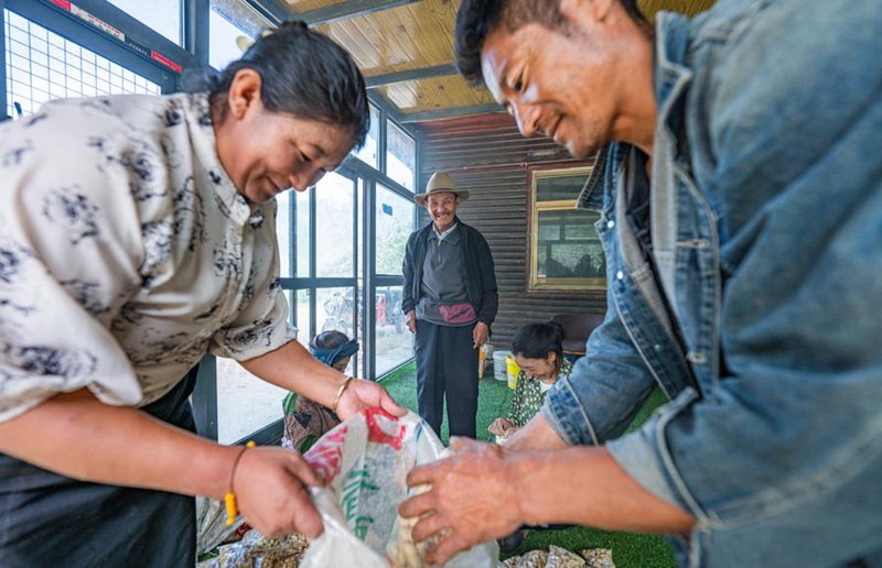 Miaka 25 ya upendo: Babu Mtibet alinda tumbili mwitu