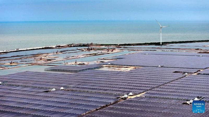 Mji wa Dongying, China watumia ardhi isiyo na matumizi kwenye eneo lenye mafuta kuzalisha nishati safi