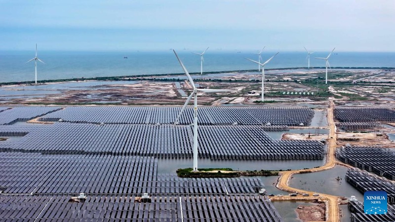 Mji wa Dongying, China watumia ardhi isiyo na matumizi kwenye eneo lenye mafuta kuzalisha nishati safi