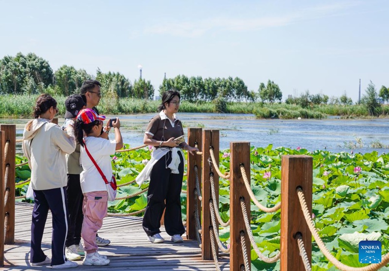 Vivutio vya Mandhari ya Ardhi Oevu ya Xinjiang, China